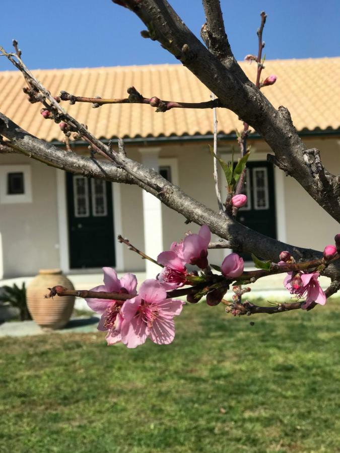 Tamaris Beach House 阿查拉维 外观 照片